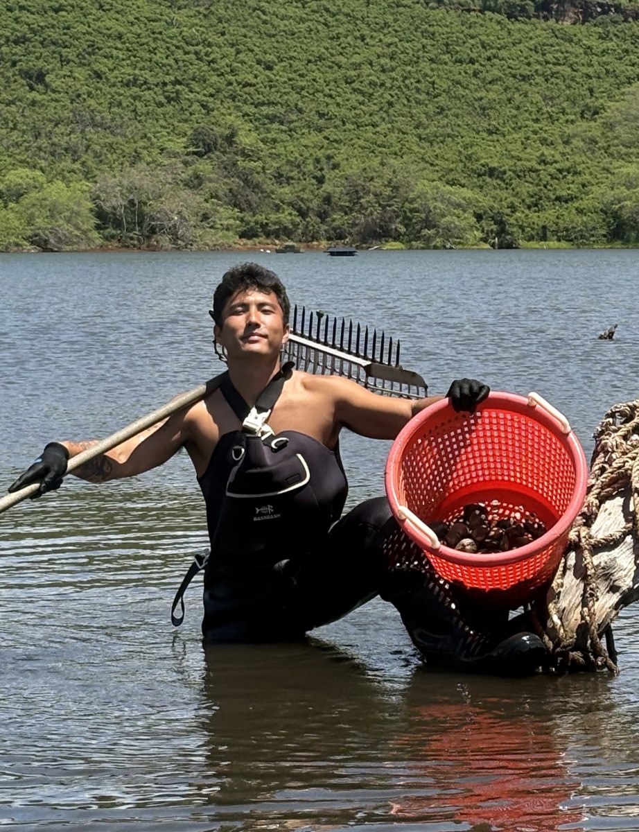 Clam harvest at Nōmilu Fishpond