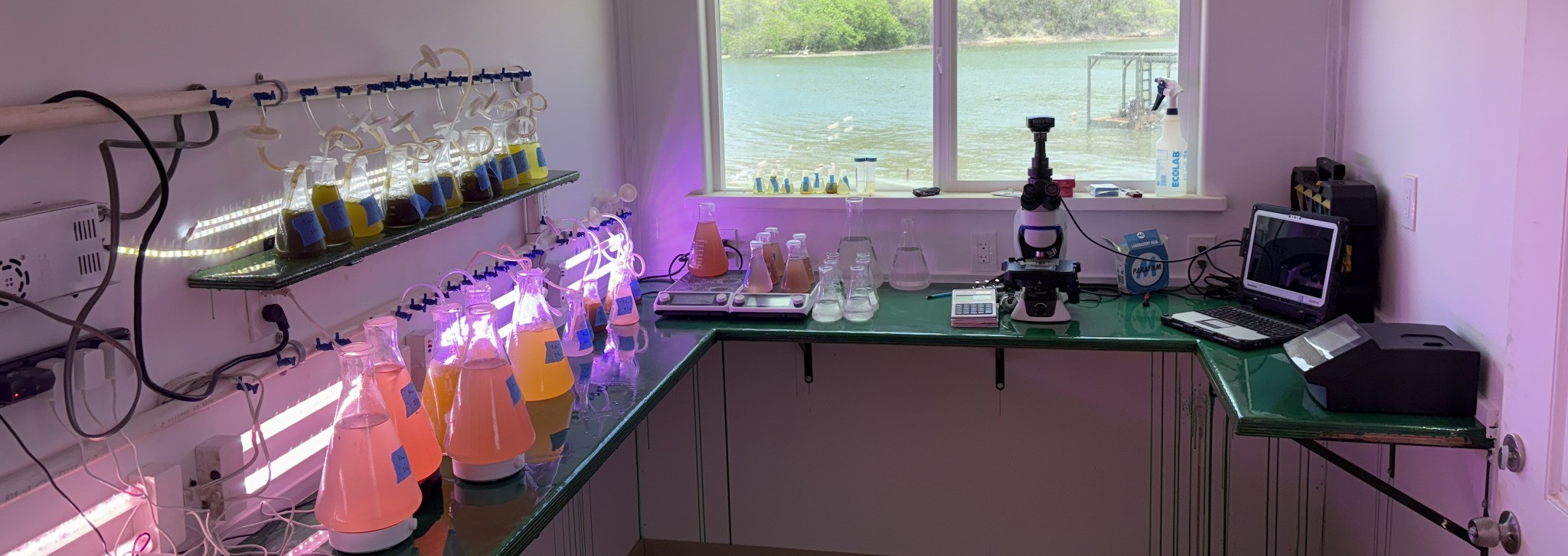 Aquaculture research at Kauaʻi Sea Farm